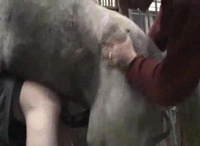 Video :Animal porno with horse wrecking a gay's anus